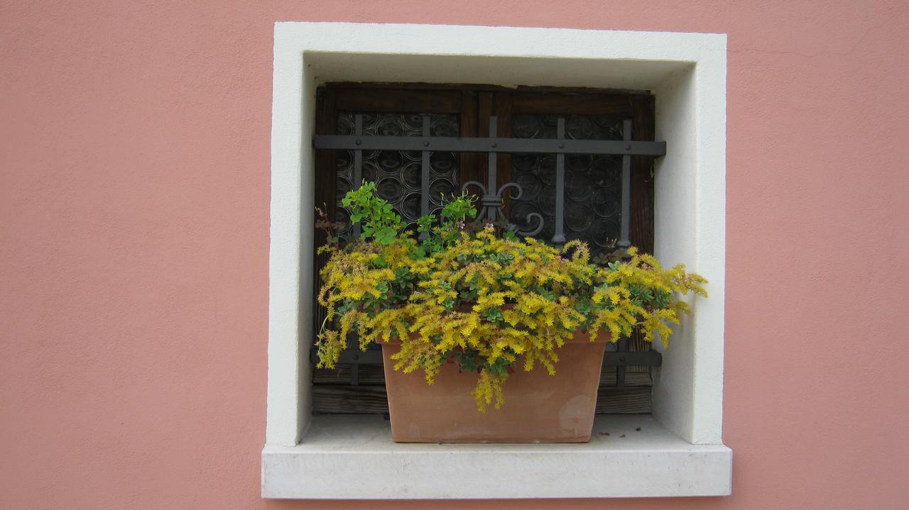 La Residence da Caterina Vittorio Vêneto Exterior foto